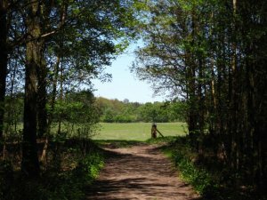 dagje uit Lage Vuursche