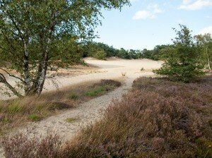 dagje uit brabant